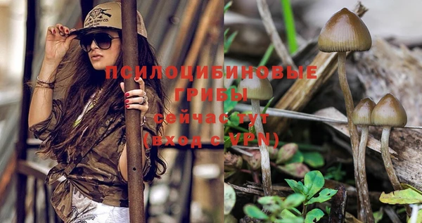 экстази Беломорск