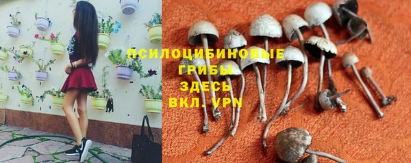 меф Белокуриха