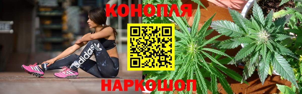 Бошки Шишки Bruce Banner  Вход с VPN  Борисоглебск  Конопля марихуана 